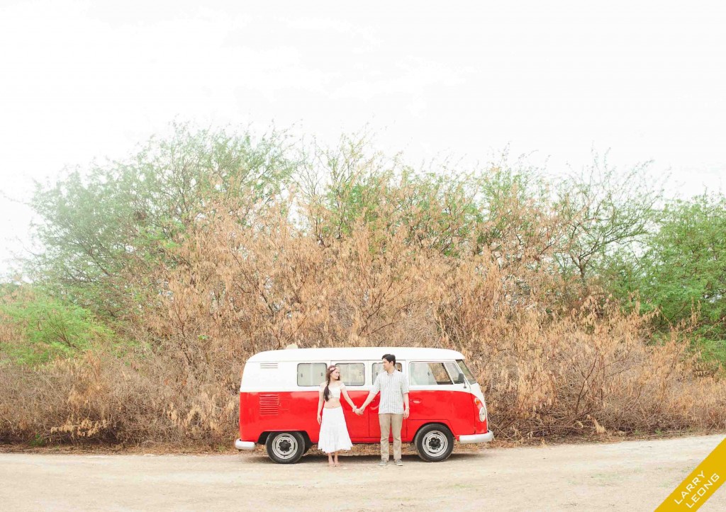 Prenup Combi Van