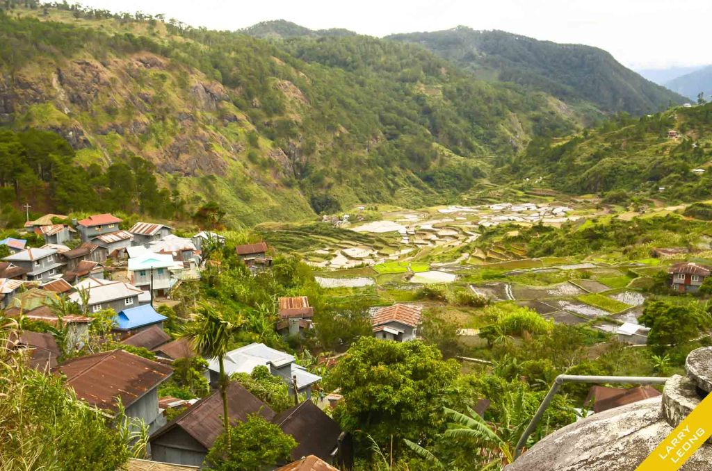 rice_terraces