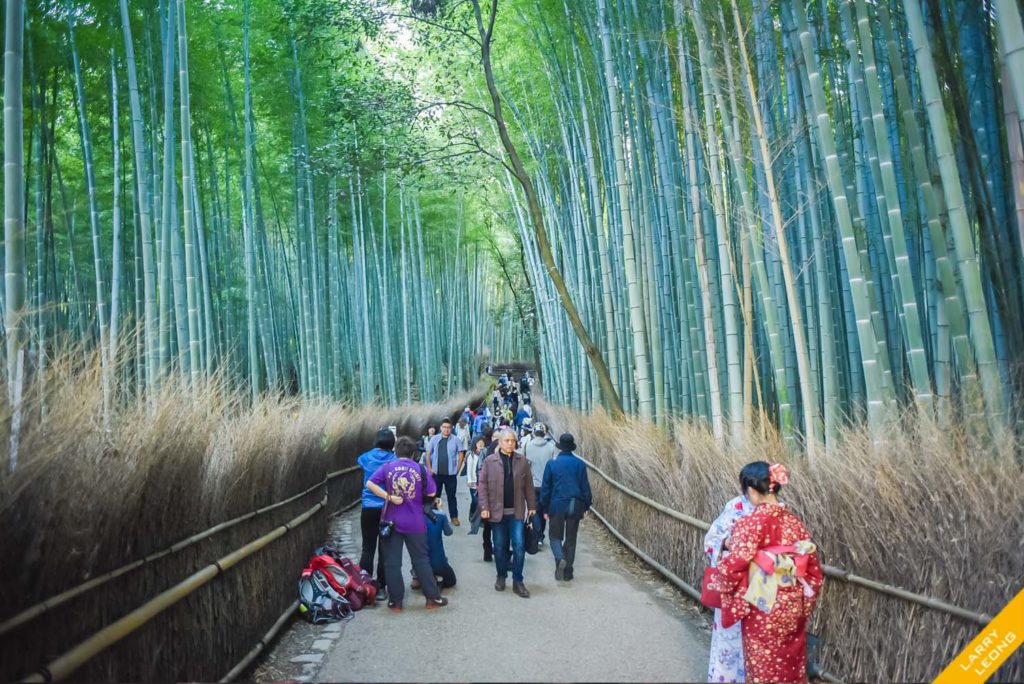 japan_bamboo