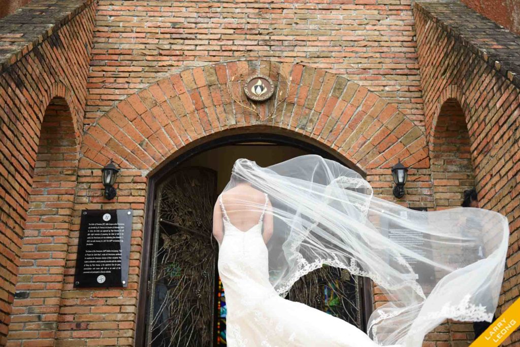 bride veil