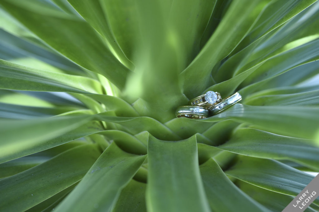 ring proposal garden wedding